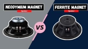 Ferrite vs Neodymium Speaker